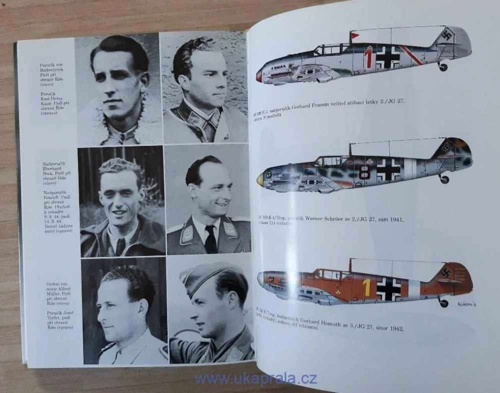 Hans Ring, Werner Girbig, Stíhací eskadra JG27