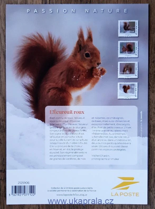 FRANCIE ** aršík, veverky, NOVINKA R. 2025