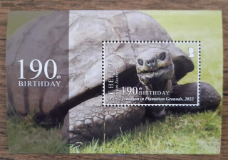 Saint Helena ** aršík,190 let želváka Jonatána, r.2022