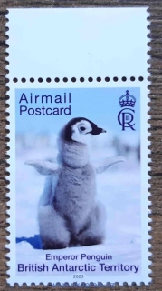 BAT ** výplatní, tučňák,r.2023