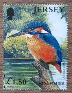 Jersey raz. 986, ledňáček, r.2001