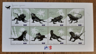 Sint Maarten ** aršík iguana, r. 2022