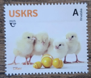 Chorvatsko ** kuřata,velikonoční r. 2023