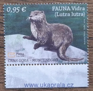 Černá Hora ** 461 vydra říční, r.2021