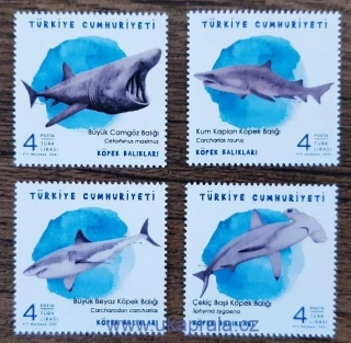 TURECKO ** 4673/6 žraloci, r. 2021