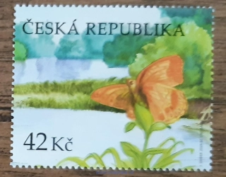 ČR ** Litovelské Pomoraví, motýl perleťovec, r. 2024