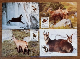 Albánie CM 2423/26 fauna, kamzíci, WWF, r. 1990