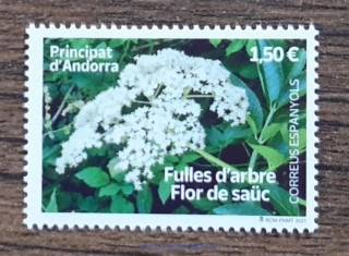 ANDORRA, ŠPANĚLSKO ** 513 flóra, r. 2021