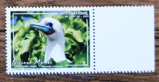 Nová Kaledonie ** Oiseaux marins, NOVINKA R.2025