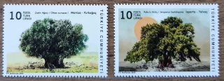 TURECKO ** 4726/7 monumentální stromy, r. 2023