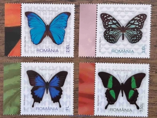 RUMUNSKO ** motýli, r. 2023