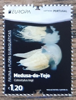 PORTUGALSKO ** EUROPA, podmořská fauna, R. 2024