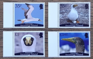 ASCENSION ** Masked Booby, ptáci, NOVINKA R. 2025