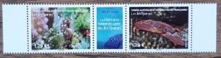 TAAF ** La beauté de la biodiversité cachée des îles Eparses, NOVINKA R. 2025