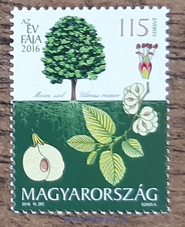MAĎARSKO ** 5866, strom roku, r. 2016