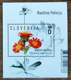 SLOVINSKO ** aršík, horská flóra, R.2024