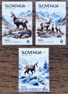 SLOVINSKO ** kamzík horský, R.2024