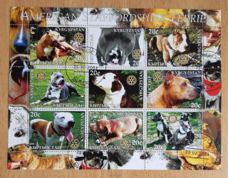 Kyrgyzstán aršík raz., psi Staffordshire Terrier, r. 2004