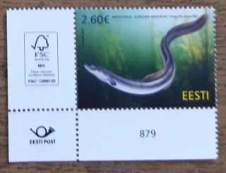 ESTONSKO ** fauna, úhoř říční, NOVINKA R. 2025