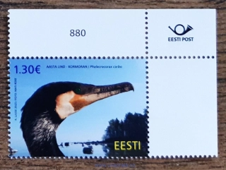 ESTONSKO ** fauna, kormorán, NOVINKA R. 2025
