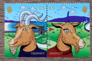 GUERNSEY ** Royal Golden Guernsey Goat, NOVINKA R. 2025