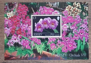 Jersey ** aršík, orchideje VII, r. 2011