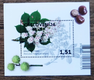 SLOVINSKO ** aršík Bl 123, flóra, r. 2020