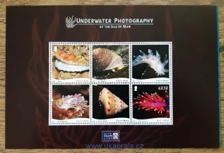 MAN ** H-Blatt 143, Podmořské fotografie, r. 2022