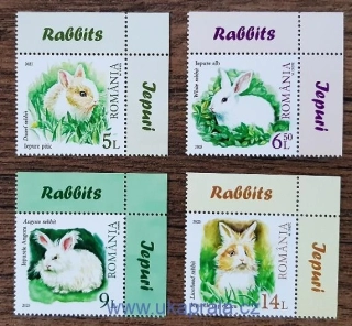 RUMUNSKO ** králíci, NOVINKA R. 2025