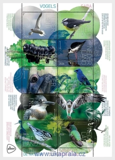 HOLANDSKO ** aršík, Experience Nature - Birds Saba, ptáci, NOVINKA R. 2026