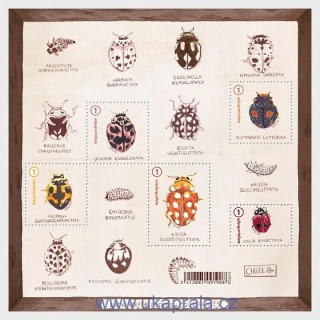 BELGIE ** aršík, Ladybirds, hmyz, berušky, NOVINKA R. 2026