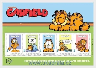 HOLANDSKO ** aršík, kocour Garfield, NOVINKA R. 2026