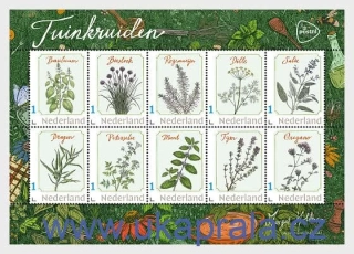 HOLANDSKO ** aršík, Garden Herbs, NOVINKA R. 2026