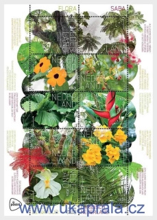 HOLANDSKO ** aršík, Experience Nature - Flora Saba, NOVINKA R. 2026