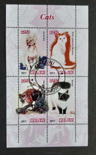 Malawi, kočky, aršík