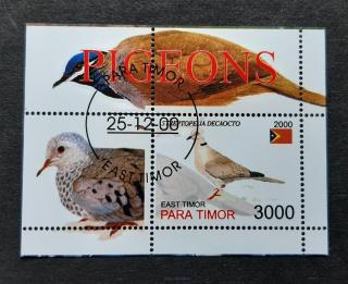 East Timor, Para Timor, ptáci, aršík