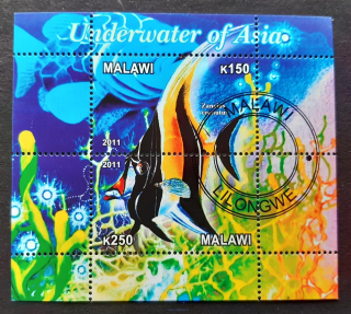 Malawi, raz. aršík, ryby, Asie, r. 2011