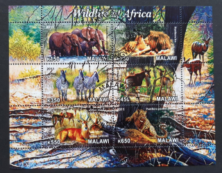 Malawi raz. aršík, fauna Afriky, r. 2011