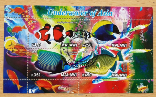 Malawi raz. aršík, vodní fauna Asie, r. 2011