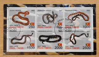 East Timor/Para Timor raz. aršík, hadi, r. 2001