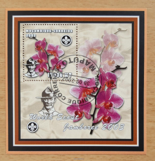 Mosambik raz. aršík, orchideje, skauting, r. 2002